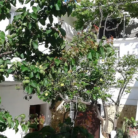 Next To The Center *